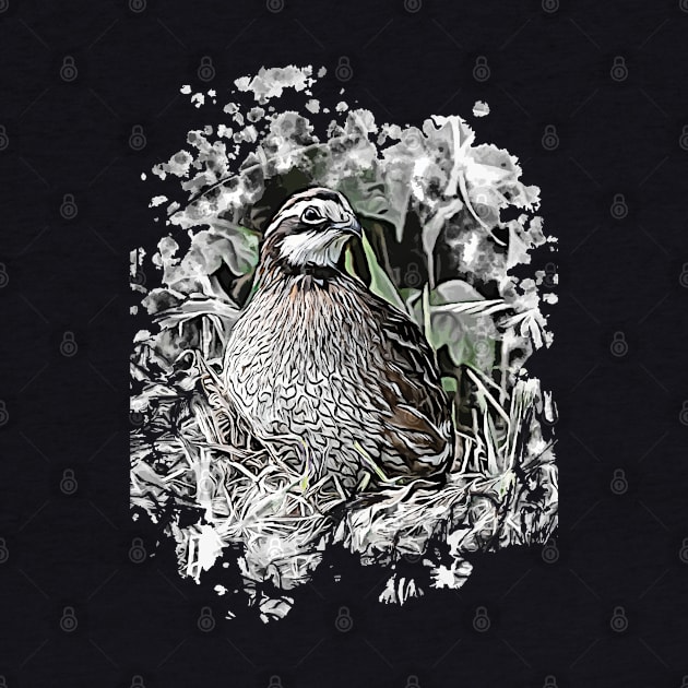 Northern Bobwhite by Ripples of Time